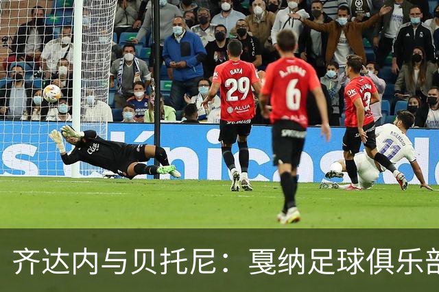 齐达内与贝托尼：戛纳足球俱乐部的友情与奋斗